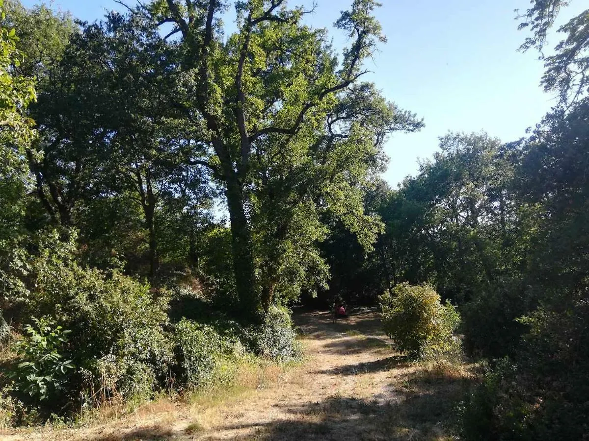 Villa La Bastide Artistique Cadenet 0*,  Frankreich